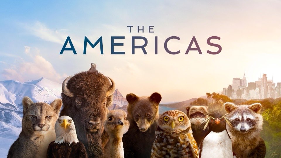 The Americas – kuva sarjasta